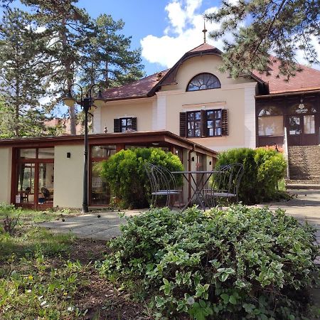 Отель Imola Garden Vendeghaz Балатонфюред Экстерьер фото